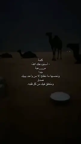 احب اسمع كلمه استودعتك الله من ابوي 🥹😞❣️❣️❣️#ريبوستات_حلال #قصائد_واشعار #بدون_موسيقئ #