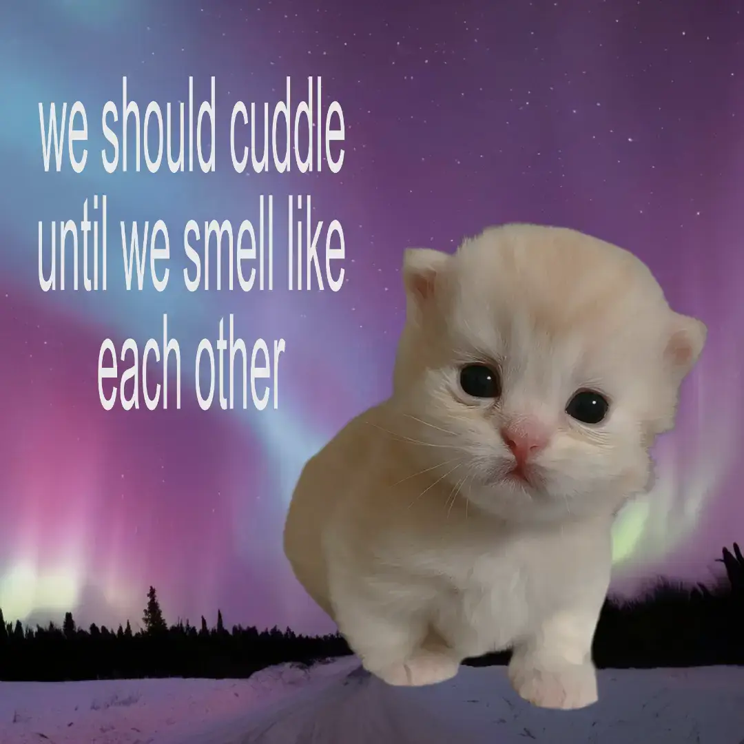 #relatable #relatablecontent #lovecore #streak #slideshow 