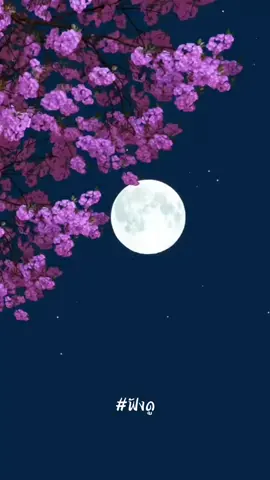 เงียบเพื่อคุณ