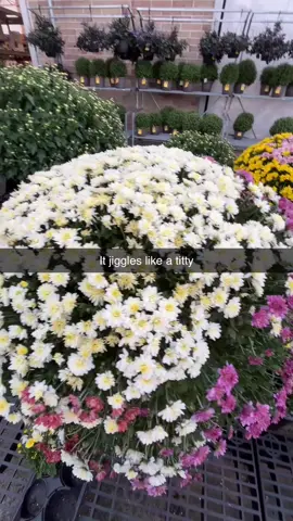 #fypシ 