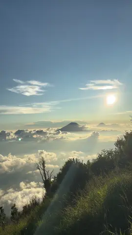 merbabu🏔  #merbabumountain #masukberanda #pendakifomo 