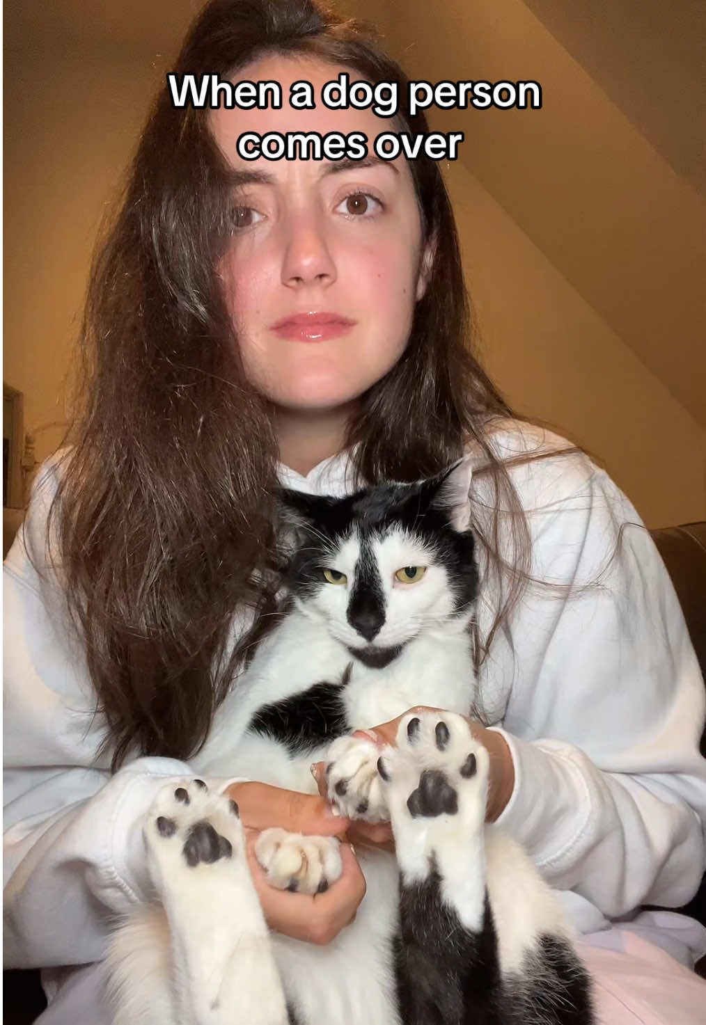 if you don’t get it I feel bad for you #catsoftiktok #catperson #cat #kitty 