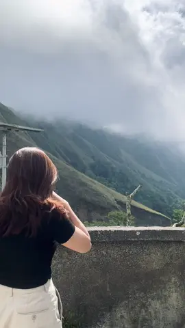 🍃