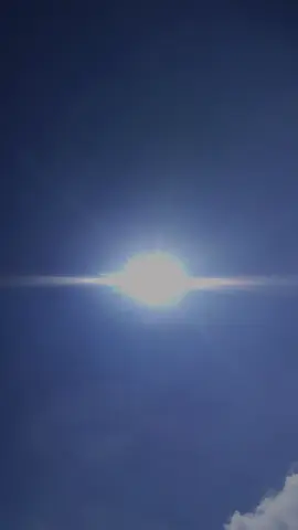 umbulke terus ngasi nyundul langit👻