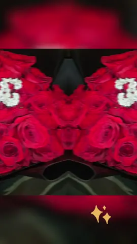 🌹 🌹 🌹 🌹 🌹 🌹 🌹 🌹 🌹 🌹 🌹 🌹 🌹 🌹 🌹 🌹 🌹 🌹 🌹 🌹 🌹 🌹 🌹 🌹 🌹 🌹 🌹 🌹 🌹 🌹 🌹 🌹 🌹 🌹 🌹 🌹 