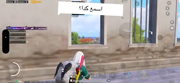 #f5m #pubgmobile #fyp @محمد محمد محمد محمد محمد حبيبي يا سنايير😂