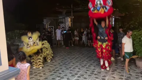Lân vào nhà🎏🎏
