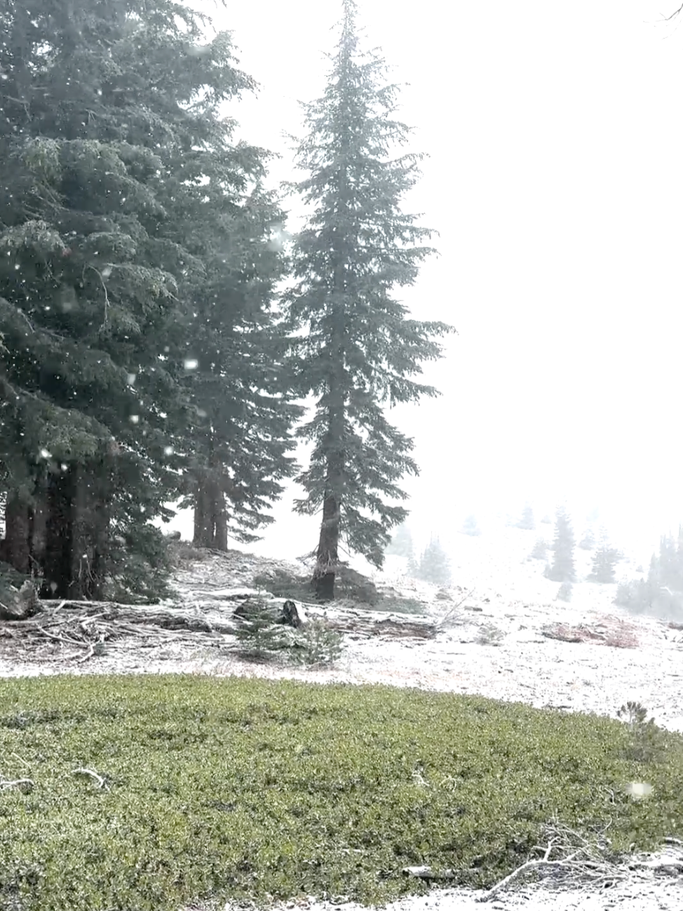 ❄️⛷️ OCTOBER SNOW: A light dusting of snow fell at the Palisades Tahoe ski resort near Lake Tahoe Friday morning -- a beautiful reminder that ski season is just around the corner. #snow #skiseason #foxweather