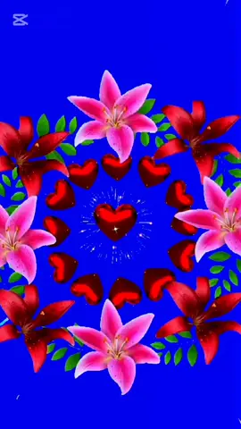 #қайырлытаң🌞💞  #әдеміән🎼🎤🎧  #реки  #рекомендации❤️❤️❤️ 