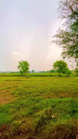 awahn jo milan ho yakeenan khushi🌸🥀#foryou #viraltiktok #trendingsong #foryoupageofficiall #foryoupage 