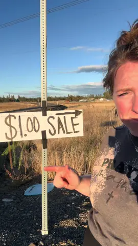Part 1: With farm stands becoming ever popular, why can’t “honesty policy yard sales” become a thing?  Imagine it! A world where we can throw out our unwanted goods to make a few bucks without sitting in the blazing heat for 2 days in a row! I’ll fill you in on how much money we make… if we make any 😆 #yardsale #honestypolicy #honestypolicyyardsale 