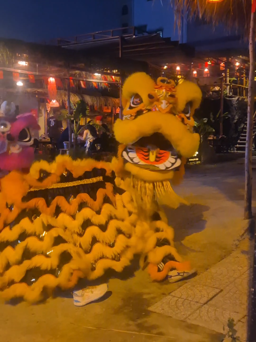 Múa lân Trung Thu gặp nhạc Ếch Ngoài Đáy Giếng 🐸 Khi truyền thống bắt kịp xu hướng 🔥 #TetTrungThu #MúaLân #ÉchNgoàiĐáyGiếng