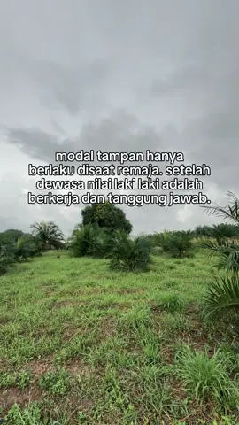 Semangat dan jangn banyak mengeluh💪🏻#fyp #petanisawitindonesia🇮🇩 #kulisawitindonesia #sawitsumatra #sawitontiktok 