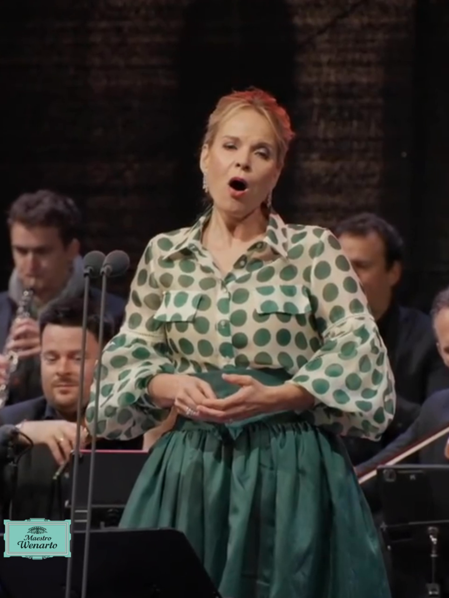 #elinagaranca #puccini #omiobabbinocaro