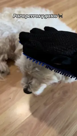 Para perros y gatos 
