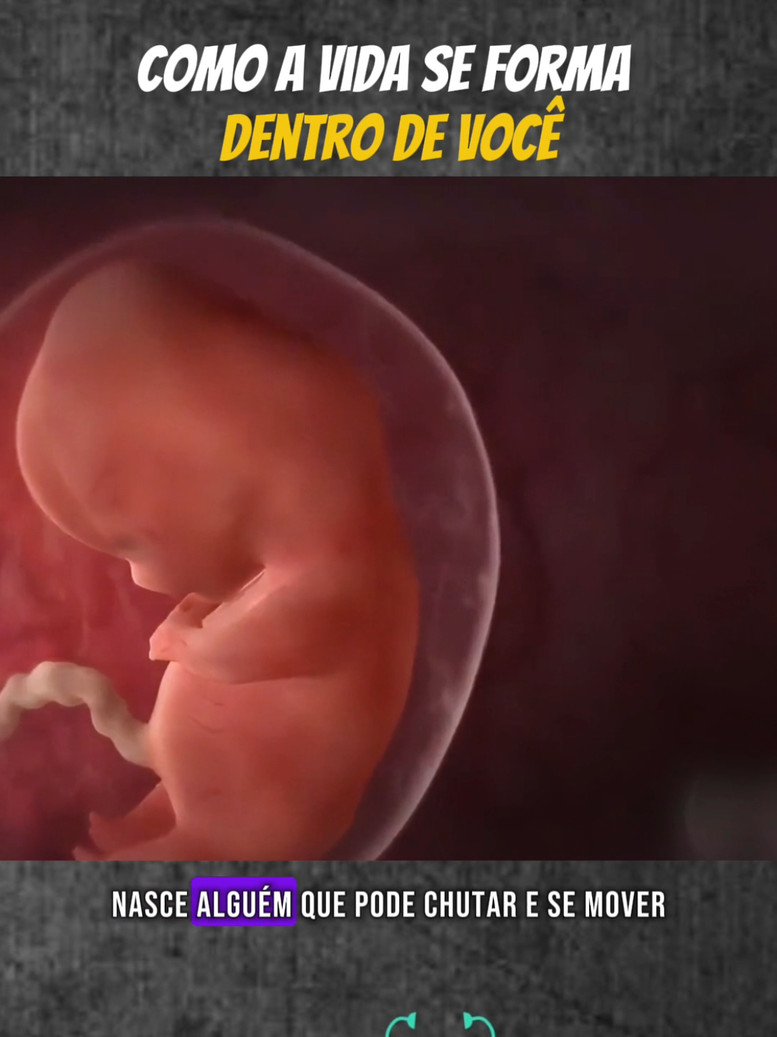 Como a Vida se Forma Dentro de Você?#NarraStars #corpo #mente #BemEstar #saude 