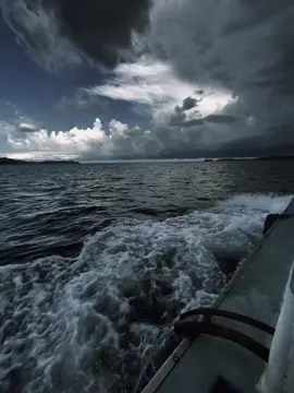 tự trách tim mình sao lại yêu ai quá nhiều #buon #buon #tinhyeu #suy #xh 