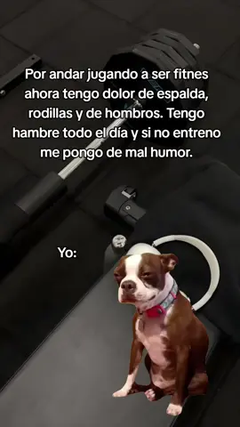 #Meme #MemeCut #CapCut #gym #humorgym 