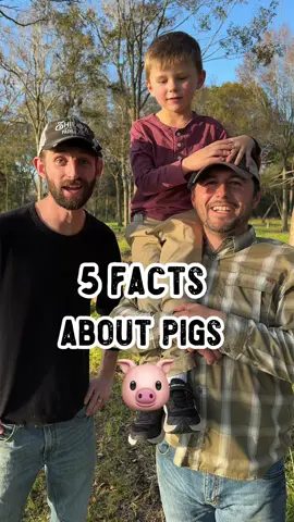 5 fun facts about pigs 🐷  🐽 They are smarter than dogs! They can solve puzzle and even play video games.  🐽 Pigs can run up to 11 miles an hour which is faster than most humans!  🐽 Their noses are incredible. Some pigs are used to sniff out expensive truffles and landmines.  🐽  When pigs are happy they wag their tail like a dog.   🐽 Pigs make good house pets because they can be potty-trained!  #pig #pigs #funfact #animals #shilohfarm  