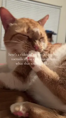 It’s the sound for me 