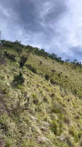 diluar ekspektasi #merbabumountain 