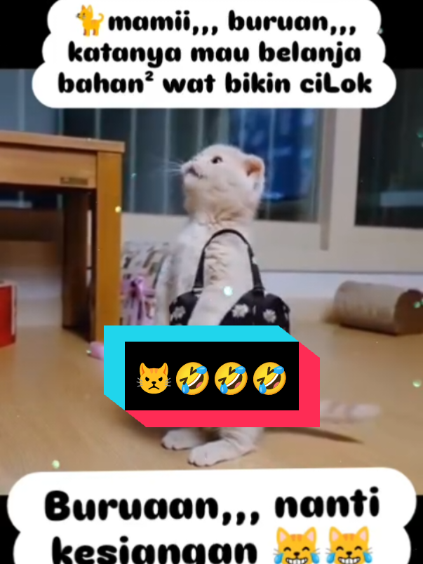 x#😾😾🤣🤣🤣 