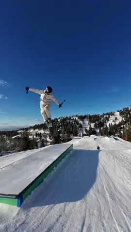 Park days #ski #fyp #viral #backflip 