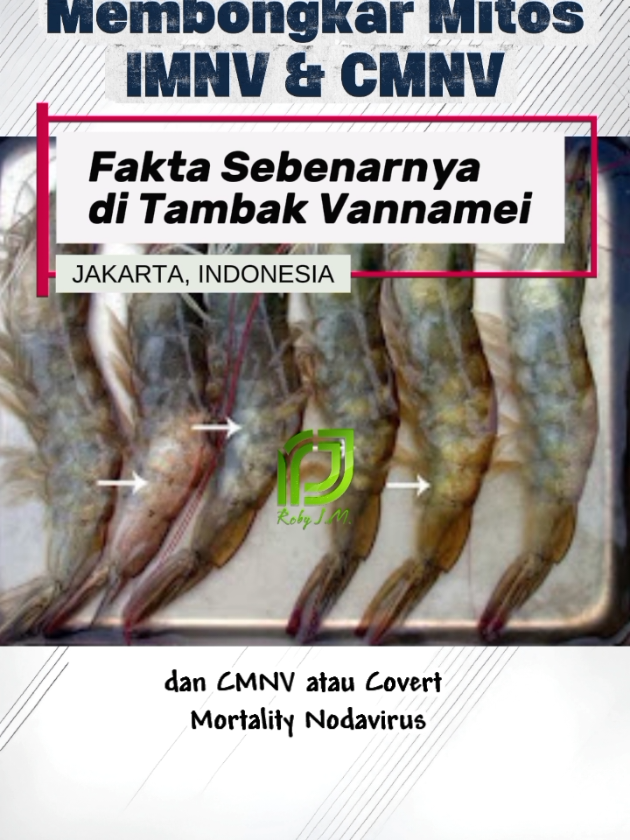 Selama ini kita sering panik dengan label IMNV atau CMNV, seolah-olah penyakit menular yang menghantui tambak. Padahal kenyataannya… itu bukan virus menular, melainkan efek metabolitoksik akibat akumulasi nitrit di air. PCR positif bukan berarti ada virus hidup. Outbreak bukan karena penularan, tapi karena lingkungan yang buruk secara serempak. 🔑 Kuncinya? Rawat kualitas air, bukan melawan virus hantu. #BudidayaCerdas #TambakSehat #UdangVannamei #TambakUdang #BudidayaUdang #ShrimpFarming #Aquaculture #TambakSehat #IMNV #CMNV #FaktaUdang #PCR #Metabolitoksik #Nitrit #BudidayaCerdas #PetambakMaju #ShrimpCare #FYP #ViralEdu