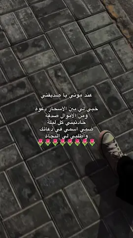 #tiktok #explore #الصحبة_الصالحة #ليبيا_طرابلس_مصر_تونس_المغرب_الخليج #foryoupage 