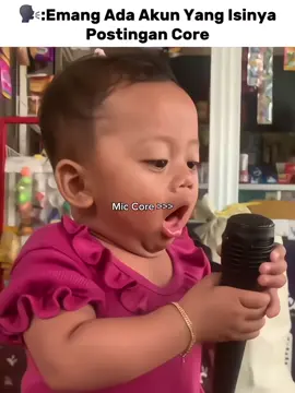 Mic Core >>>