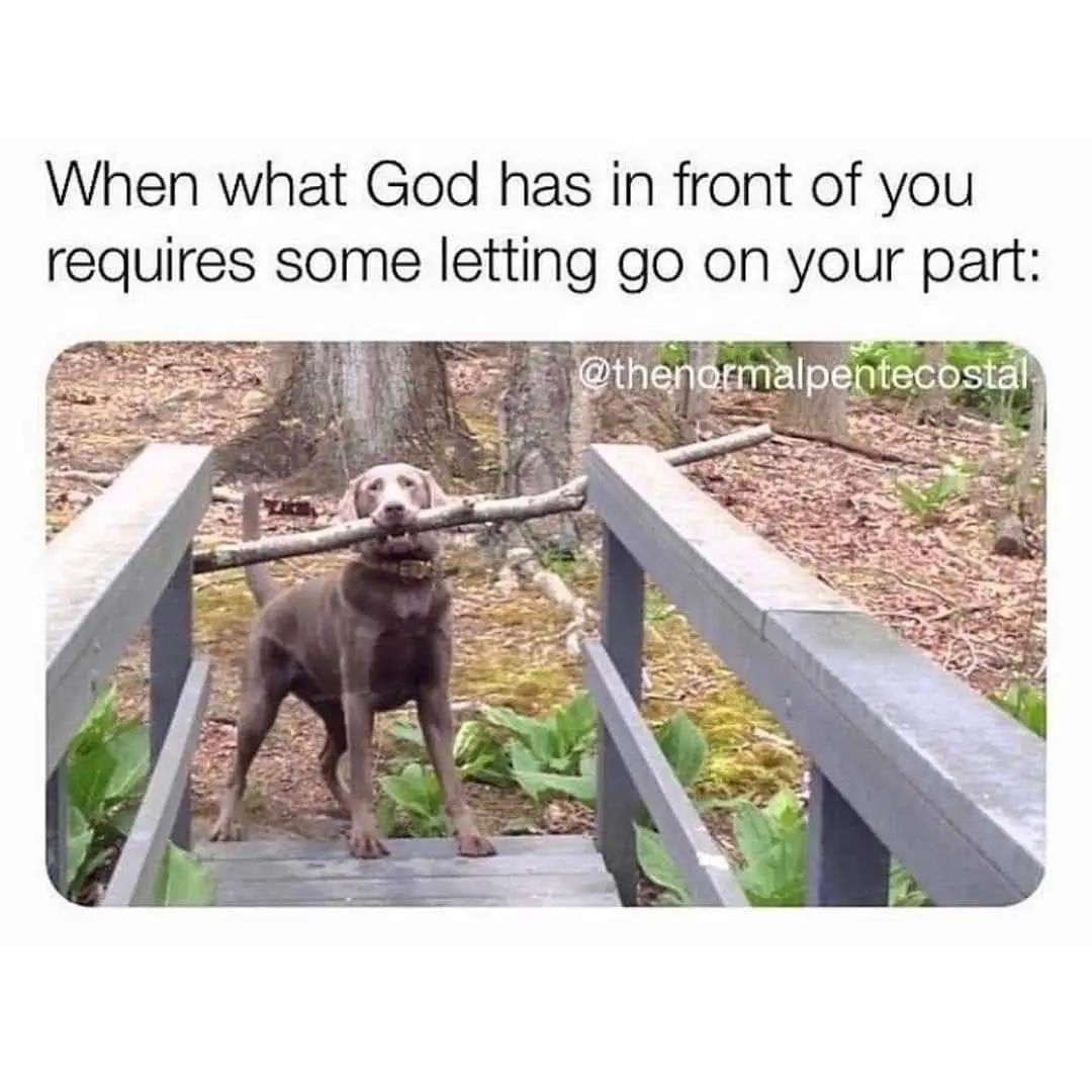 God’s got something better. #ChristianTikTok #Christianity #FYP #God #Jesus. 