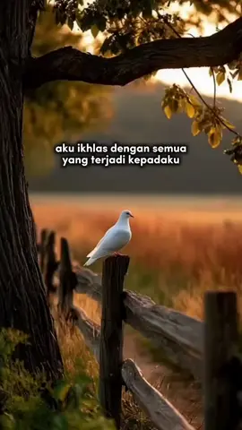 story #storywa #quotes #katakata #fypage 