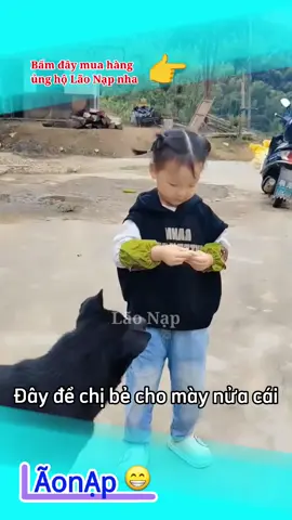 Lòng tự trọng của Lu 🤣 #laonap 