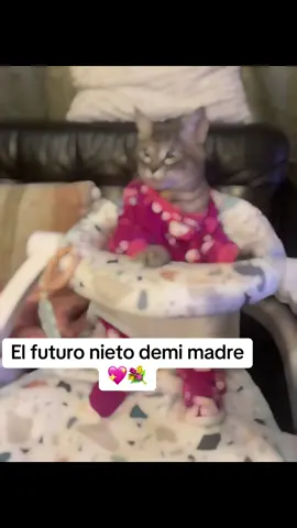 #capcut #cat #cat #foryoupage #cats #cats #paratii #viraltiktok #cap #capcut_edit #paratiiiiiiiiiiiiiiiiiiiiiiiiiiiiiii #para #capcutedit 