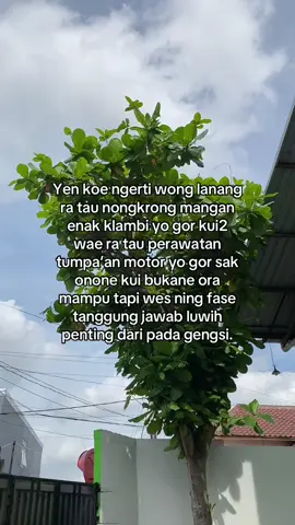 #jowopride #foryoupage #masukberandafyp 