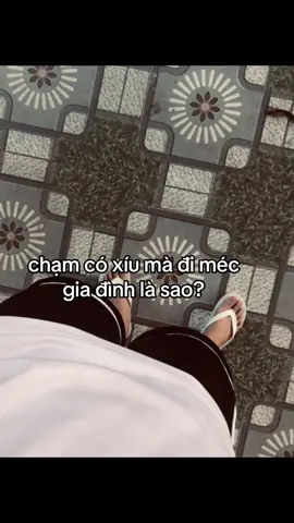 sợ thí #xhh #khịa_cực_mạnh #maithy 