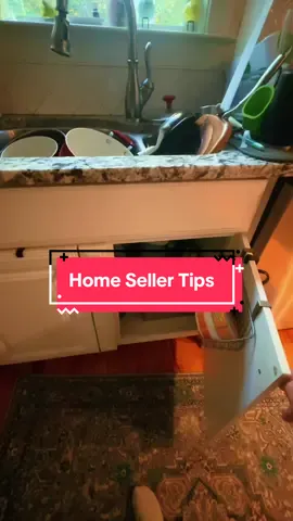 Replying to @Emo Puppo homebuyers will look underneath your sink when they look at your property!  #RichmondRealEstate #CharlottesvilleRealEstate #eXPrealty #realestatetips 