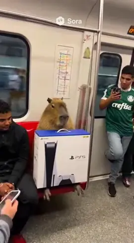 #capivara #ps5 #meme #sora2 #sora chatgpt inteligência artificial  veo 3 meme da capivara ia