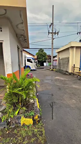 comback bolo🤪#gigambois #sajiraekspedisi #bokbalapseduluran🤙 #paket #driverpaket 