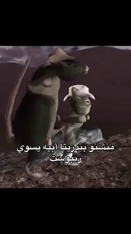 #بندريتا #دعمكم_ورفعولي_فديو #رياكشنات_ابو_مايكل 