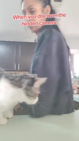Cuando descubres la cámara escondida #fyp #parati #viral #funnycats #hiddengems 