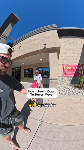 Would your dog move? Take your training to the real world and find out!