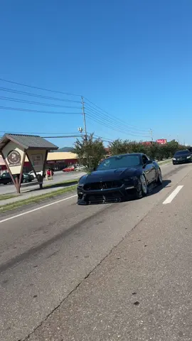 Mobbing the mountains 🏔️  #slammedenuff #gat2025 #static#nagged 