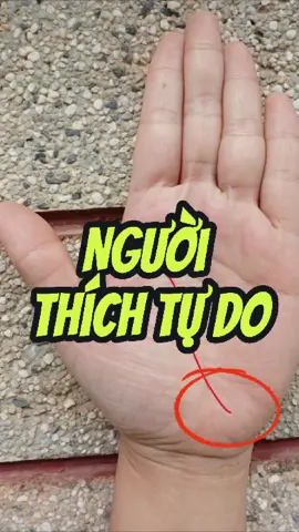 Nên làm kinh doanh nếu có dấu hiệu chỉ tay này#tamlinh #phongthuy #xemchitay #trending #dcgr 