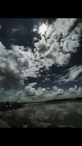 “  镜子里的花，一辈子都摘不完，水中的花，轻轻一碰，很快就散了….！💝” 