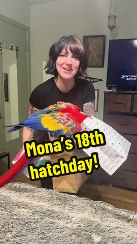 Happy 18th hatch day to our beloved Mona ❤️ #monathemacaw #adopt #fyp #birthdaygirl 