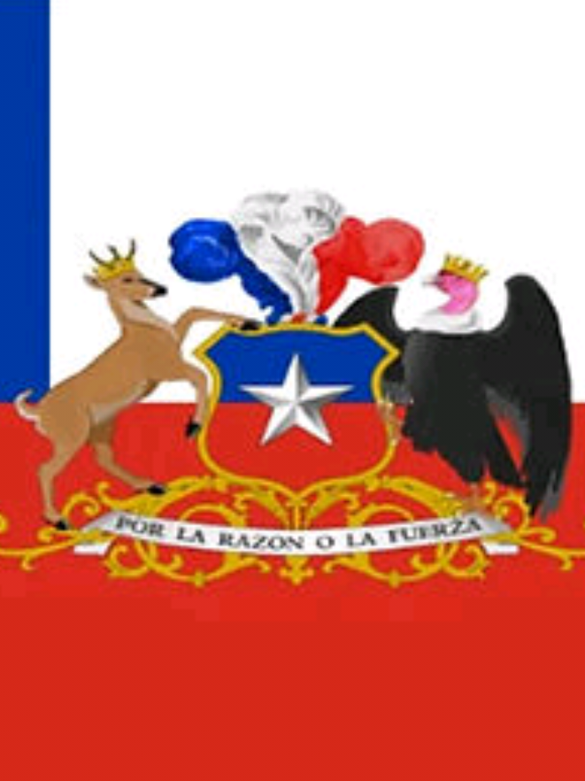 La única derecha de chile #dercha #elecciones2026 #fyp #parat #jak 