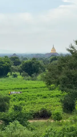 သာယာလှတဲ့ မနက်ခင်းလေးပေါ့ 🍀 #bagan  #foryou  #baganlover 