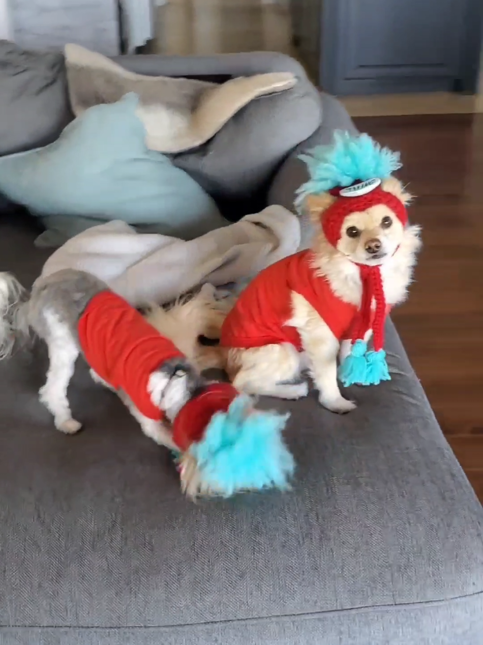 I am thing 1, and you are things 2, I'm so lucky to have had the best brothers in you -Kara 