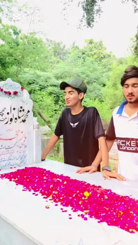 @Chota Ali 46 I miss you shahnawaz 🥹